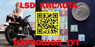 альфа пвп Камышлов