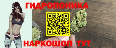 ECSTASY Канаш