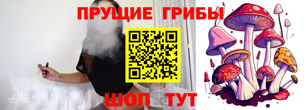 Галлюциногенные грибы GOLDEN TEACHER Кулебаки